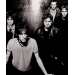 the verve